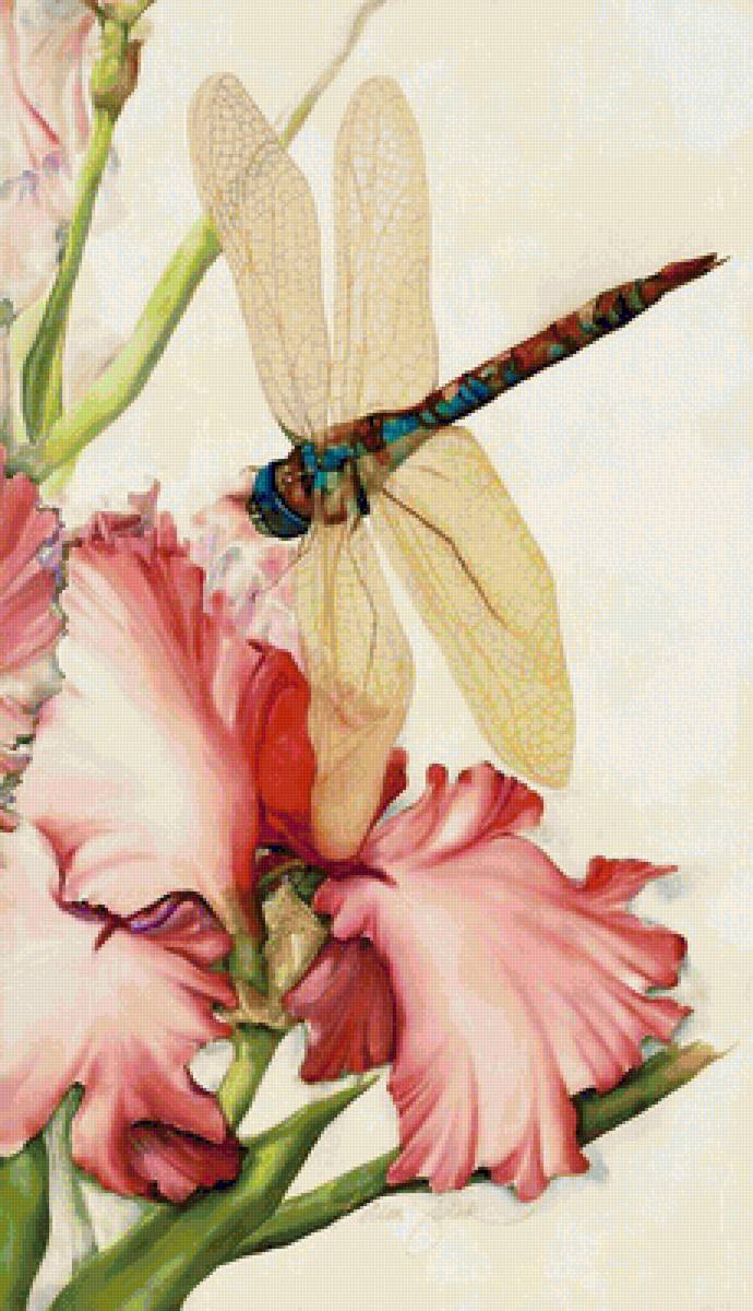 ирис и стрекоза ( осветлена,добавлена яркость) для Miledi68 - предпросмотр