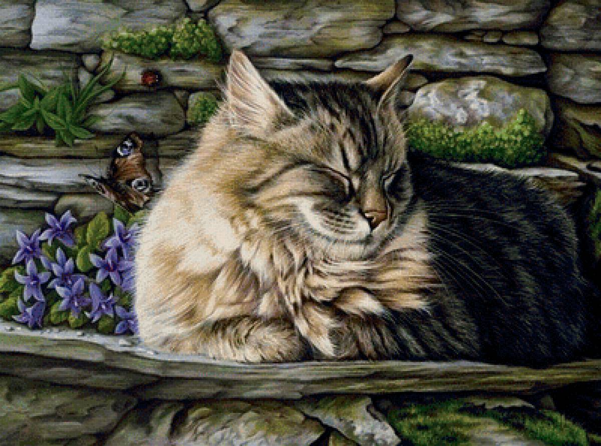 Котик - кошки, цветы, природа - предпросмотр