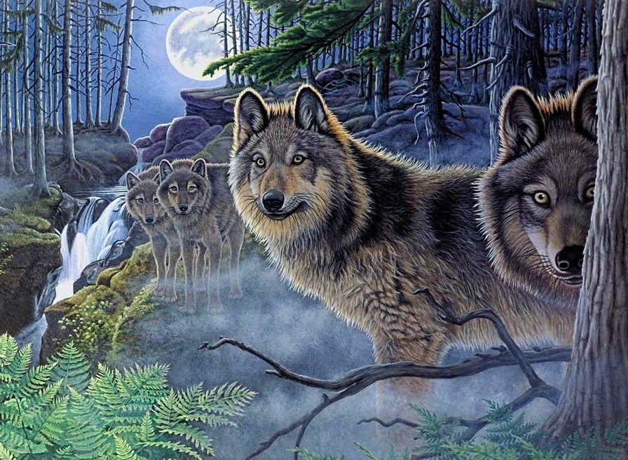 ночной дозор - горы, хищники, волки, волк, луна, лес, водопад, рочь - оригинал