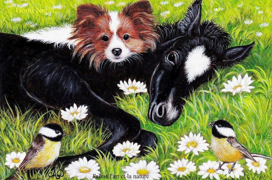 в ромашках - лето, животные, ромашки - оригинал