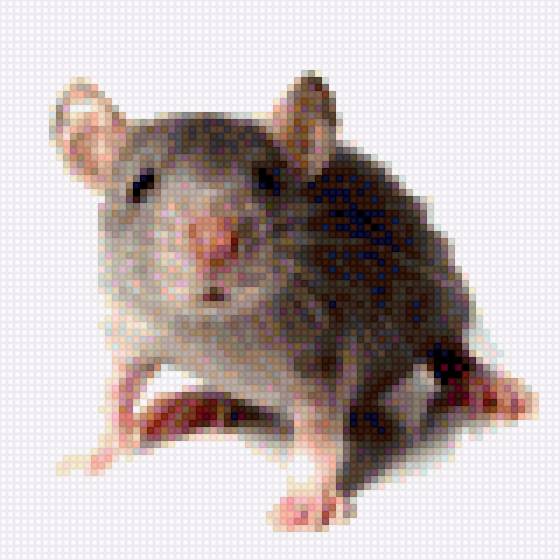 Мышь - предпросмотр