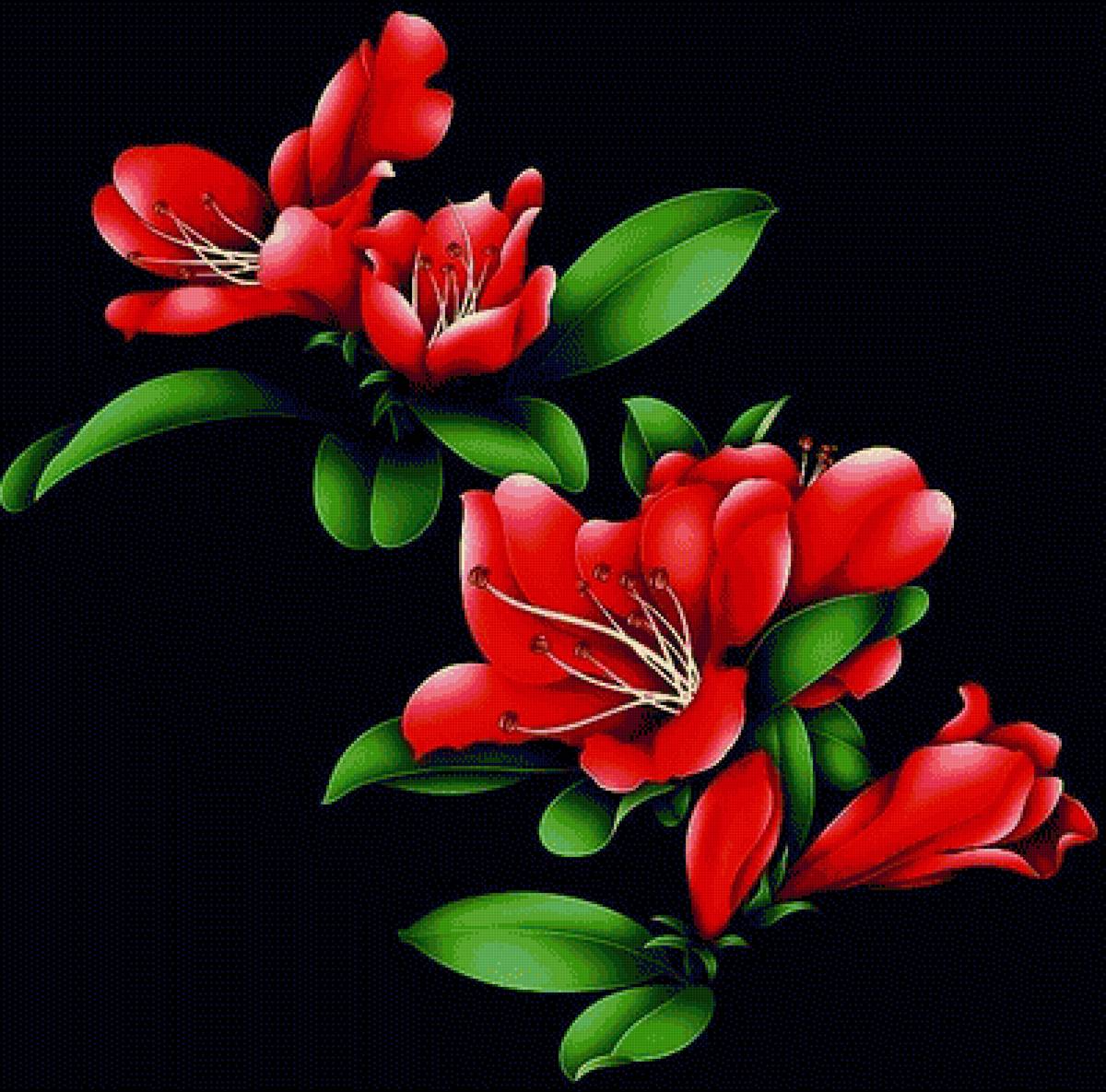 Цветущая веточка - цветы - предпросмотр