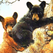 Схема вышивки «медвежья парочка»