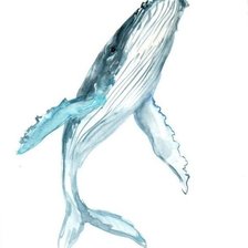 Оригинал схемы вышивки «синий кит» (№1283559)