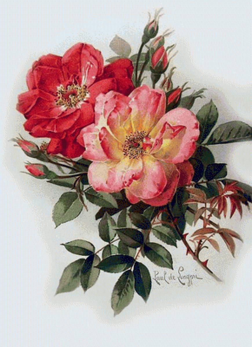 №1283891 - предпросмотр