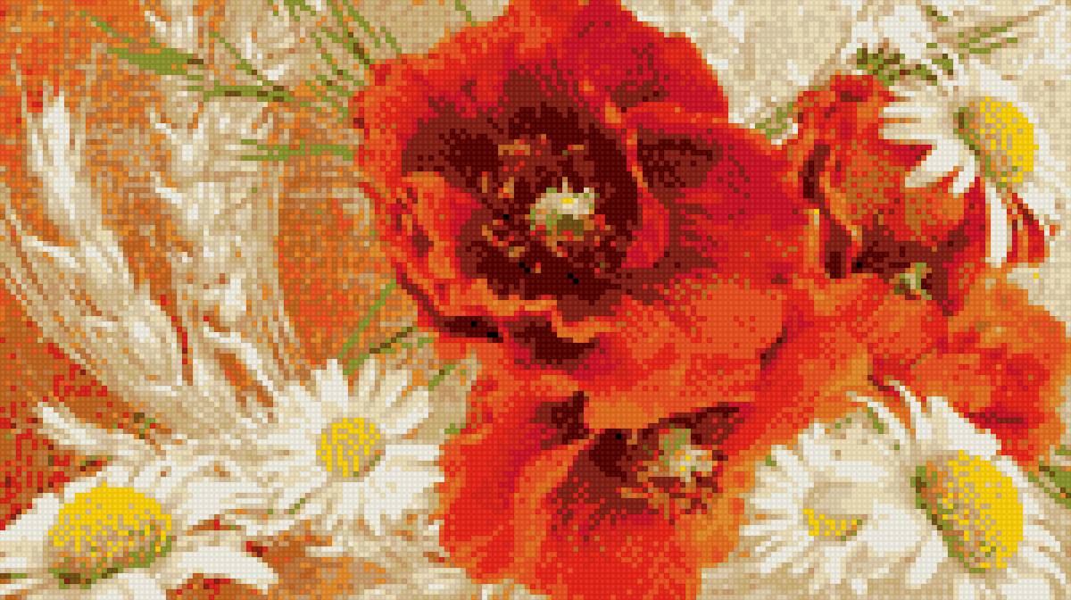 Маки в ромашках - ручнаяработа.вышивка крестом, ромашки, маки, лето, вышивка, колосья - предпросмотр