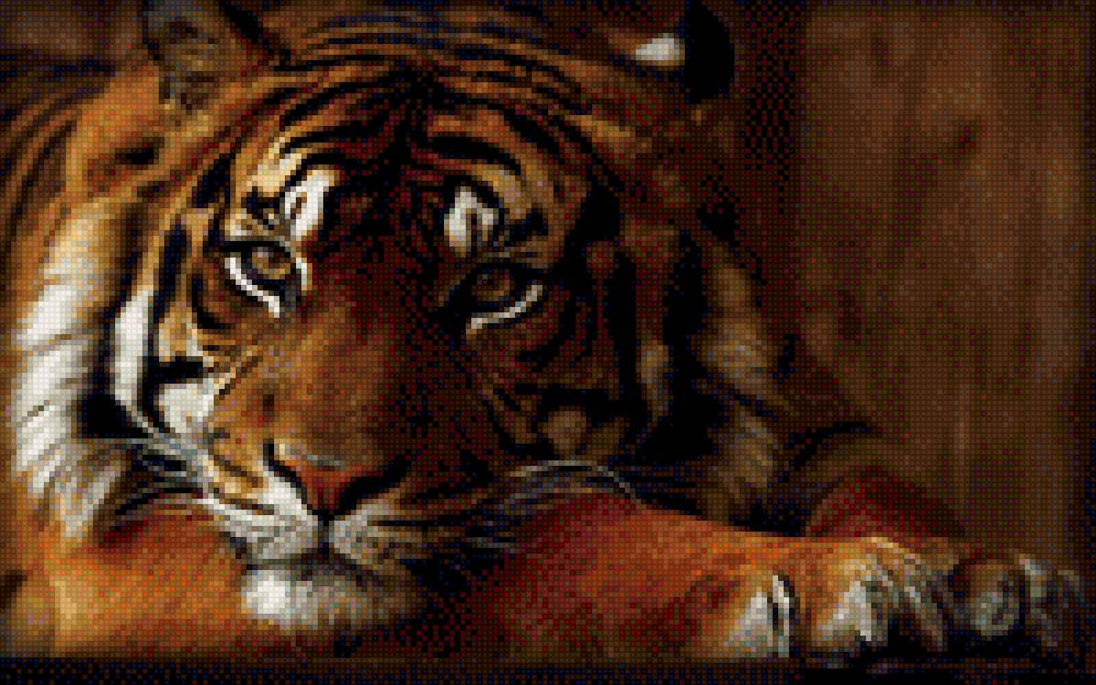 тигр - тигр - предпросмотр