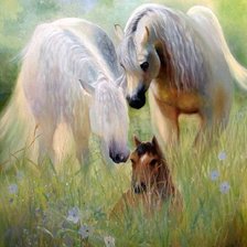 Схема вышивки «№1284153»