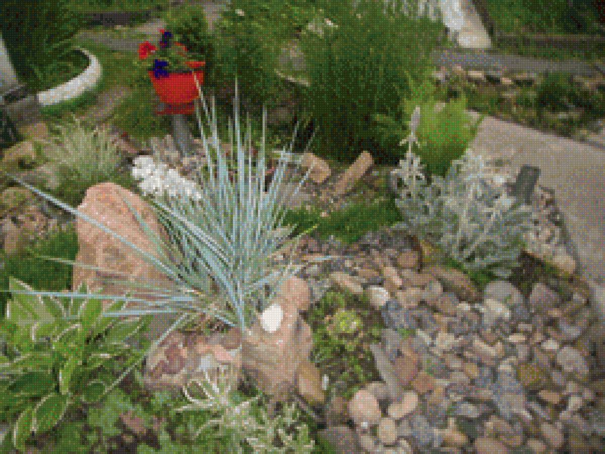 мой рокарий - предпросмотр