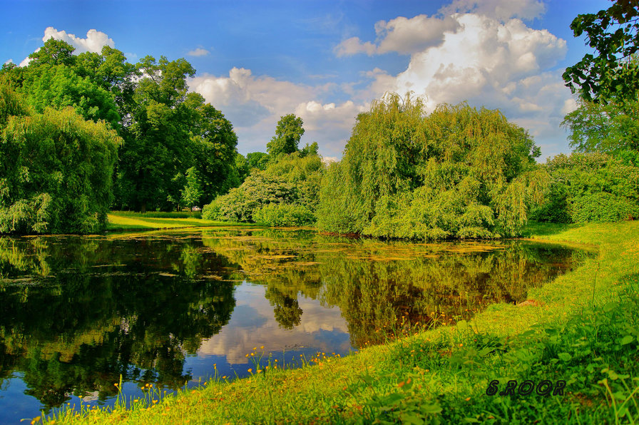 №1284488 - оригинал