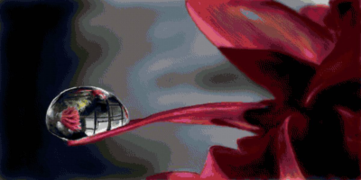 Лилия - капля, лилия, цветы - предпросмотр