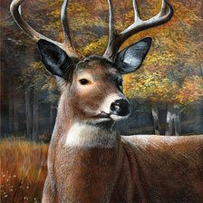 Схема вышивки «олень»