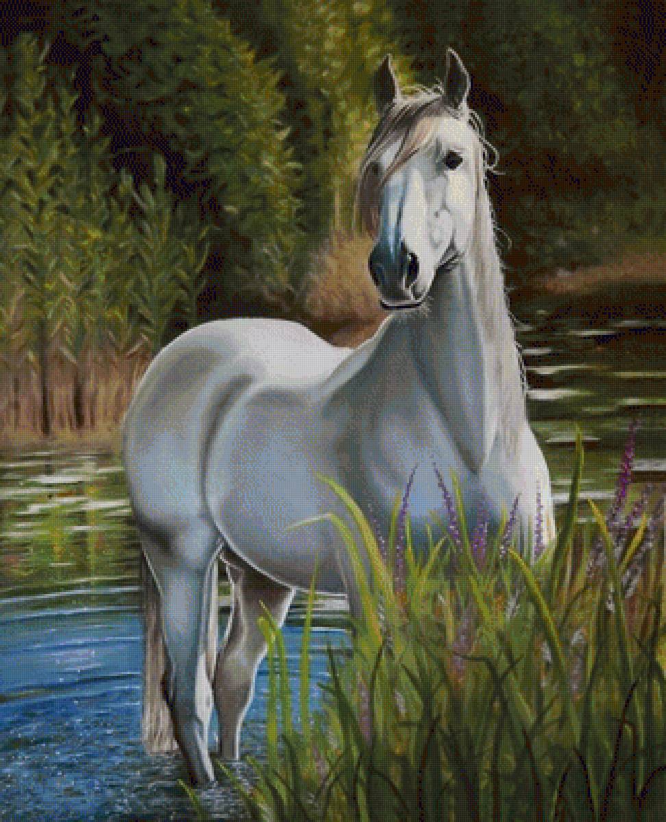 №1284827 - предпросмотр