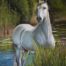 Схема вышивки «№1284827»