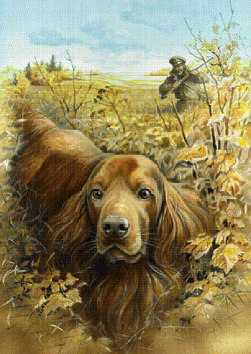 "Стойка" - осень, собака, охота - предпросмотр
