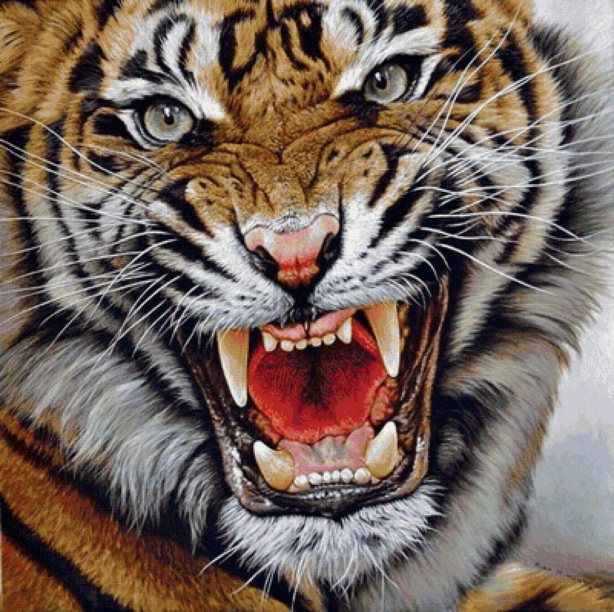 тигр - символ величия и мощи - предпросмотр