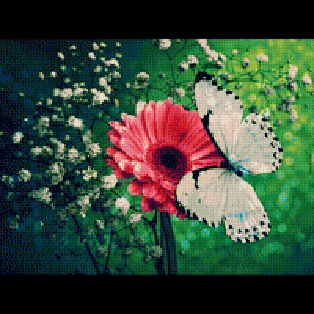 бабочка цветок - насекомые - предпросмотр