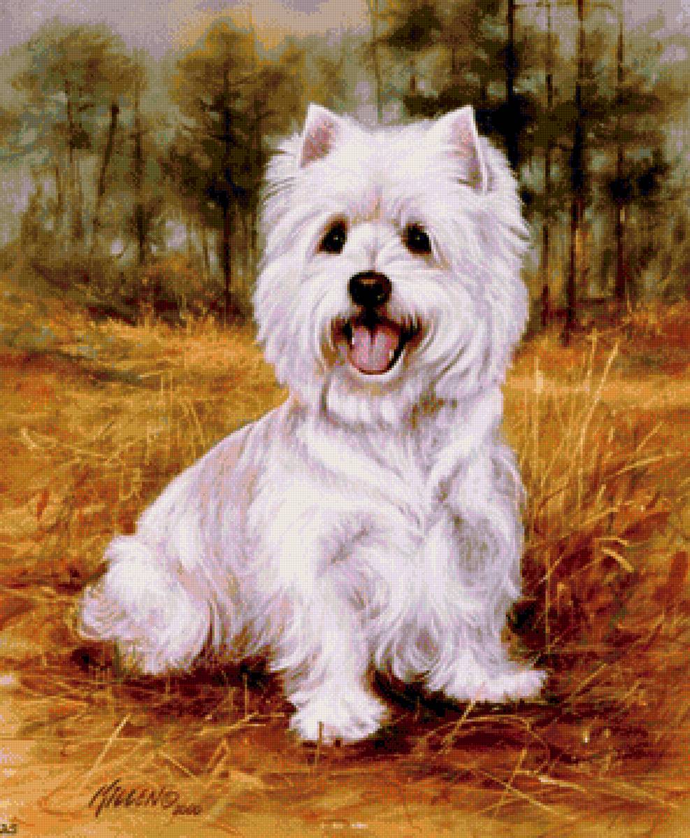 В ЛЕСУ - предпросмотр