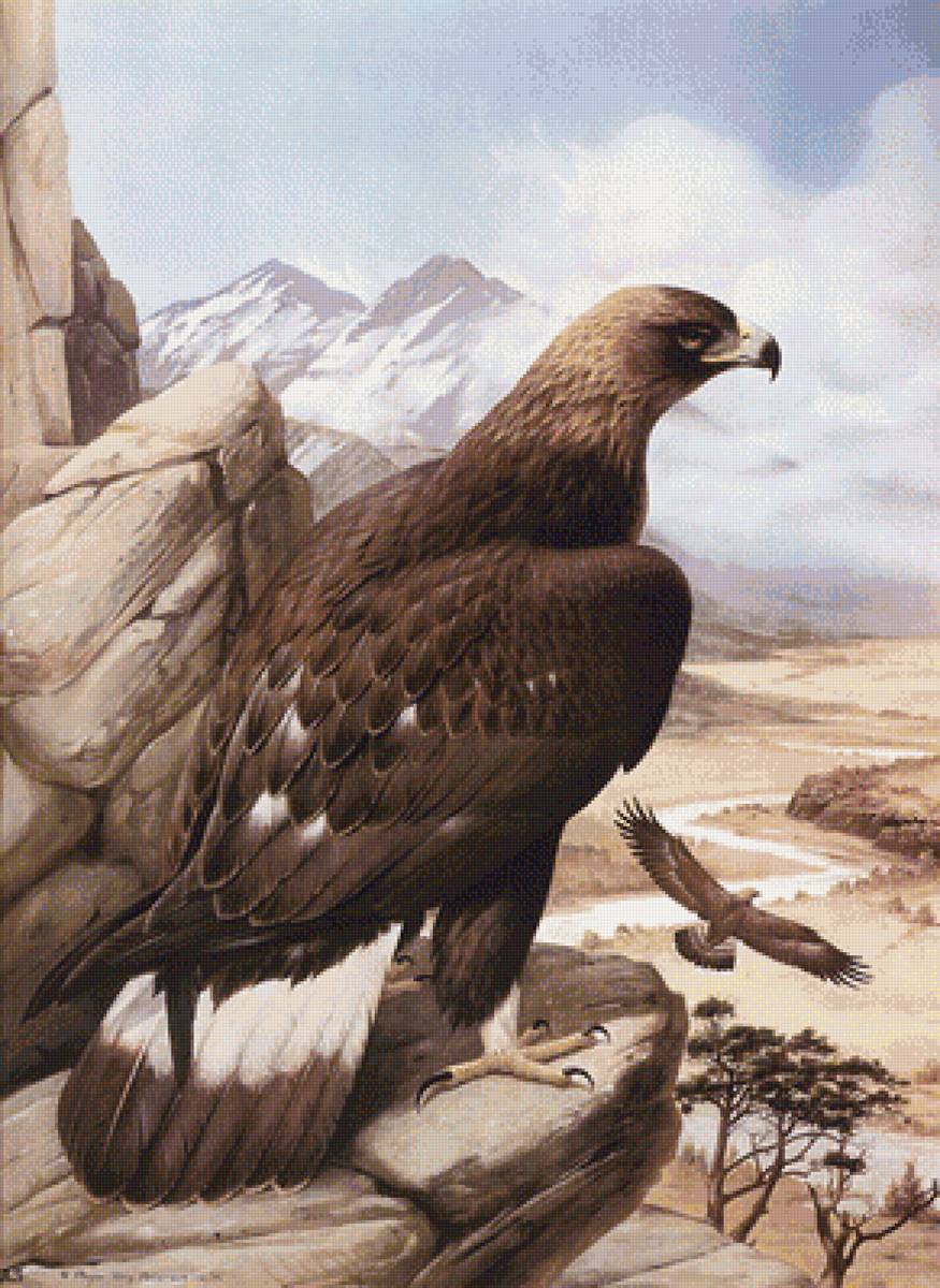 №1286357 - предпросмотр