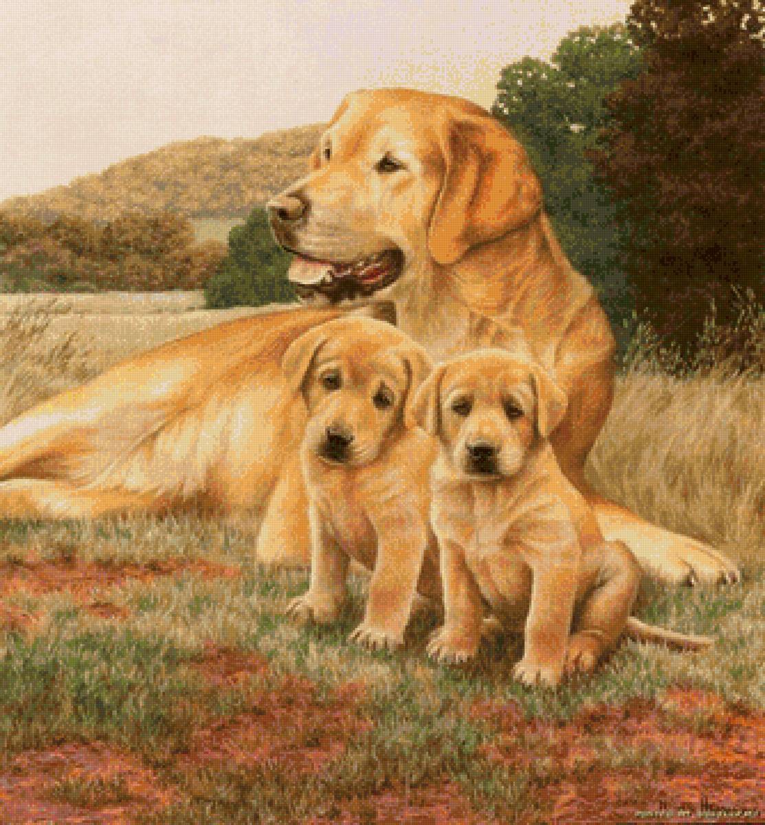 Картина купили щенка. Собаки художника Daniel Kevin Hemming. Щенки и собаки. Щенок картина. Картины с изображением собак.