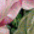Предпросмотр схемы вышивки «Розы» (№1286469)