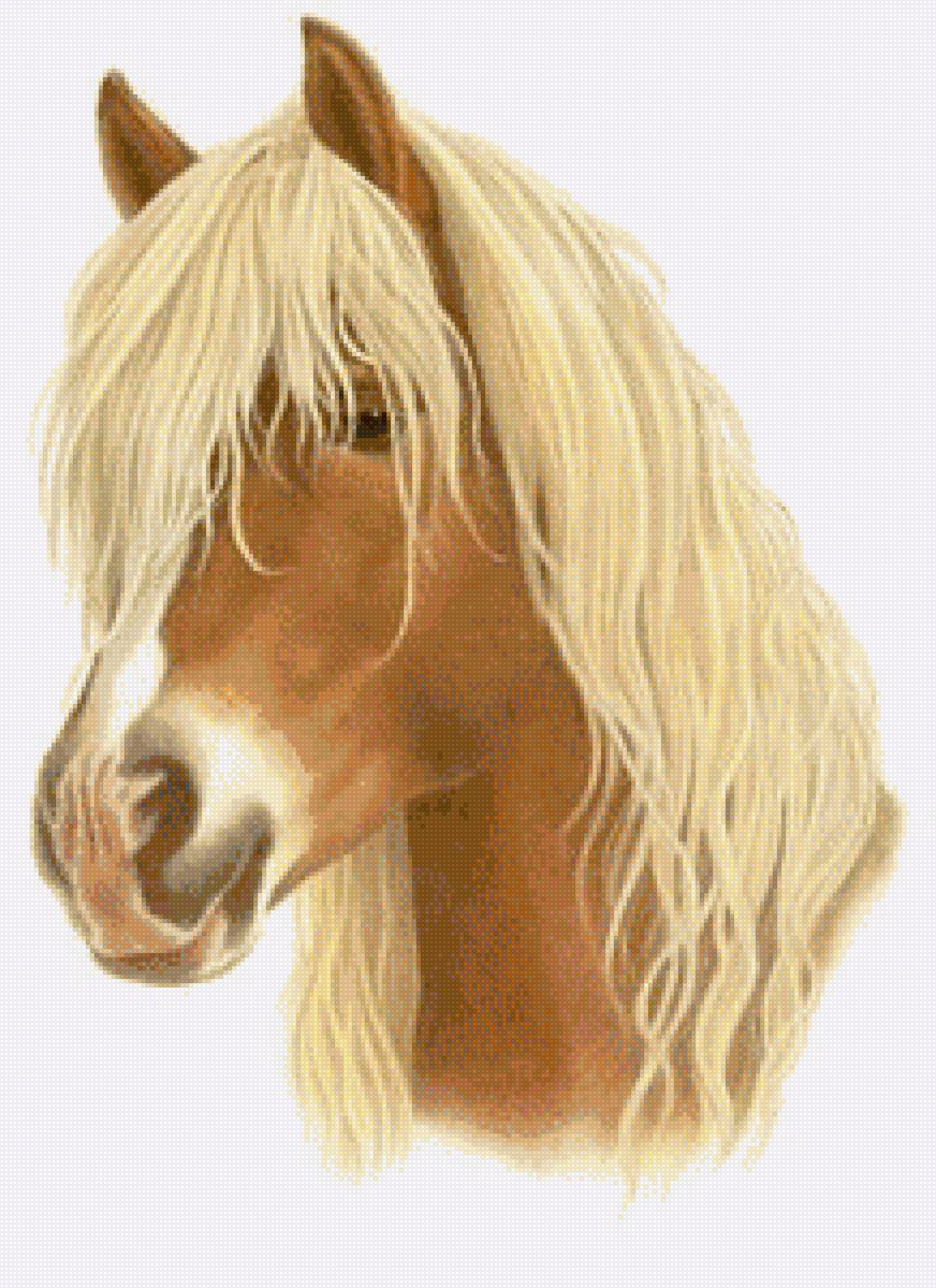 №1286703 - конь, лошадь - предпросмотр