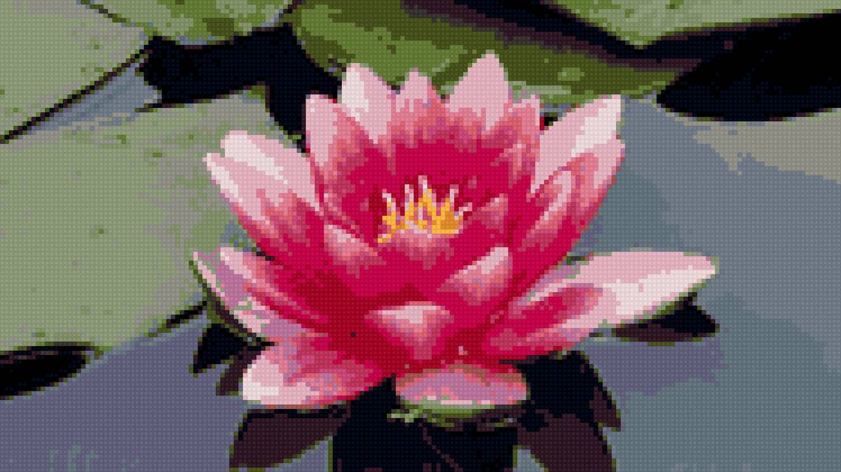 Лотос - предпросмотр