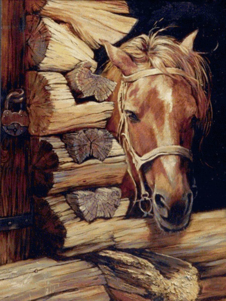 Лошадка - природа, лошади, животные - предпросмотр