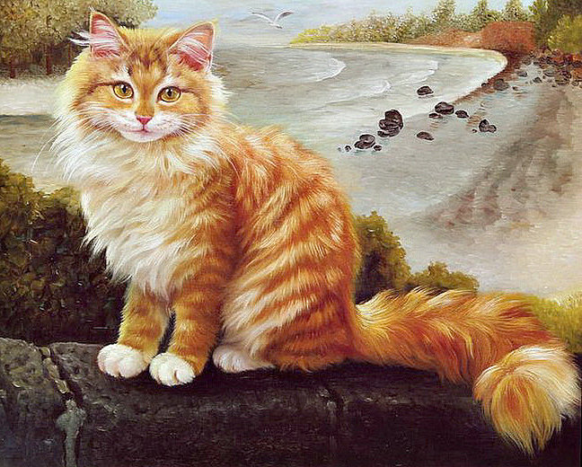 рыжий котик - кот - оригинал