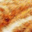 Предпросмотр схемы вышивки «рыжик» (№1287827)