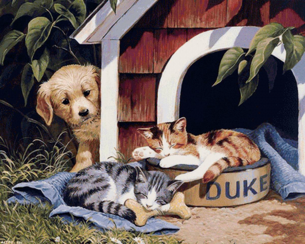 котята - собака, цветы, животные - предпросмотр