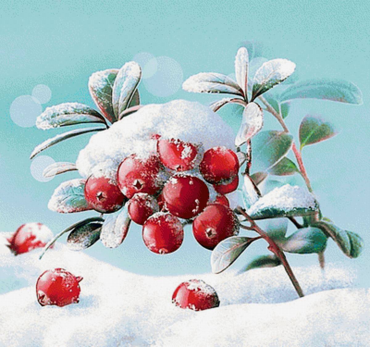 клюква в "сахаре" - клюква, ягоды, снег, зима - предпросмотр