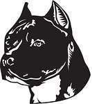 Схема вышивки «Стаффорд»