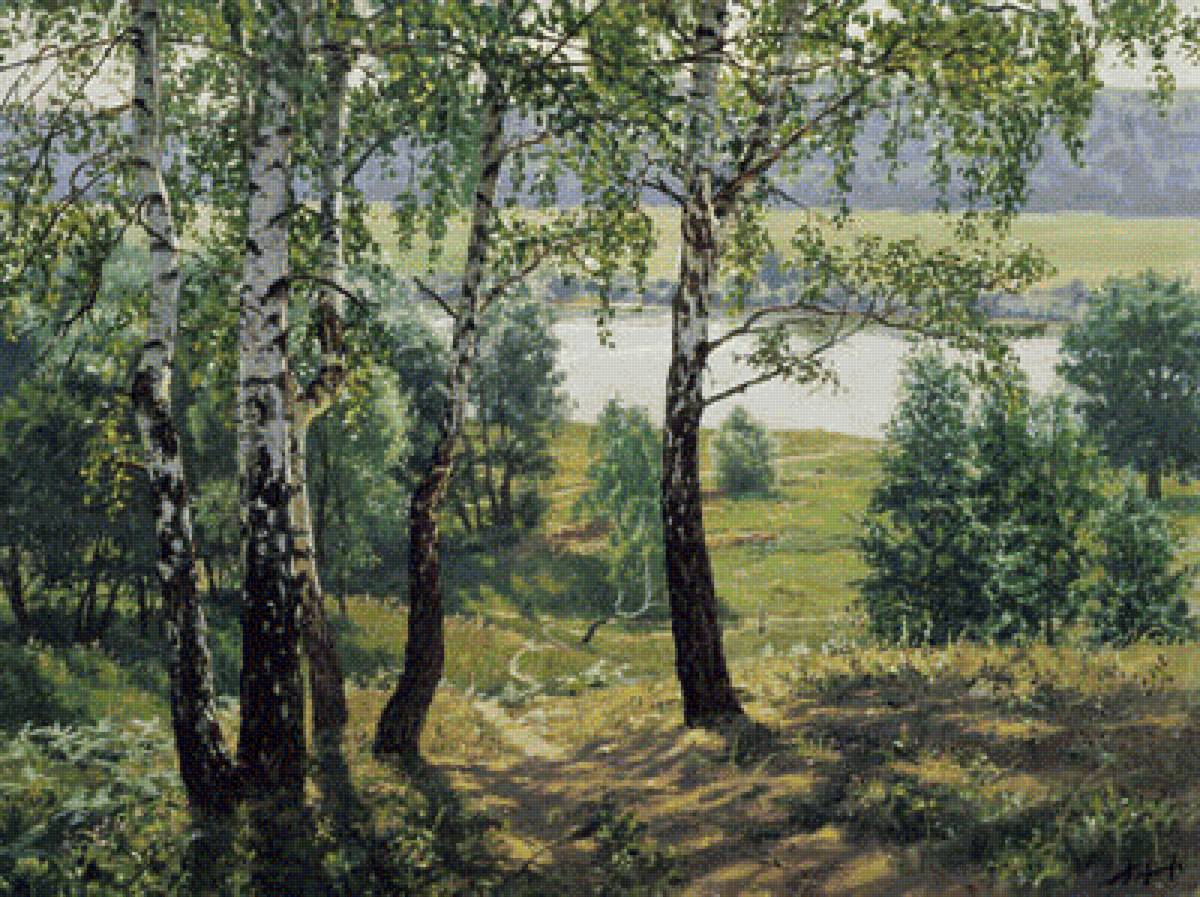 берёзы - пейзажи - предпросмотр