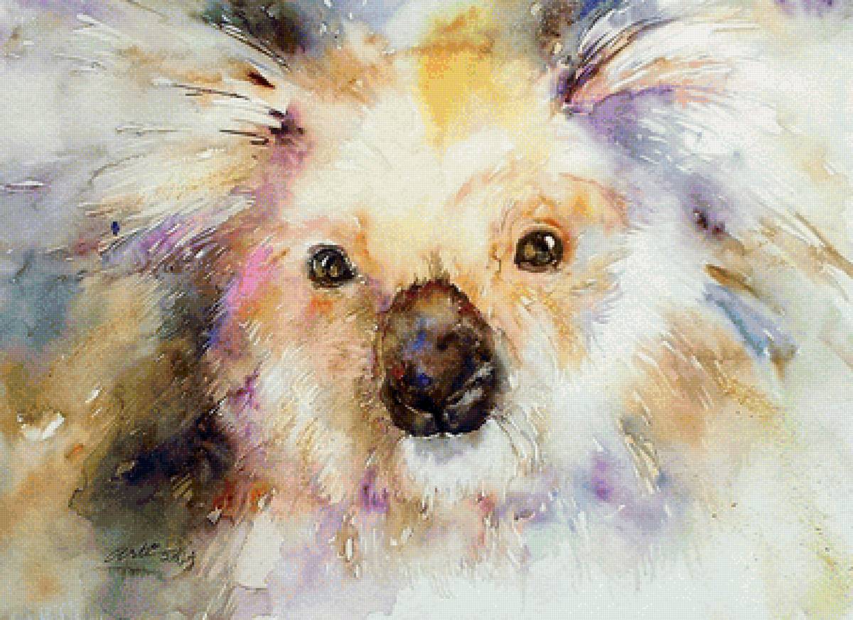 коала - предпросмотр