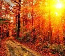 Схема вышивки «Ősz»