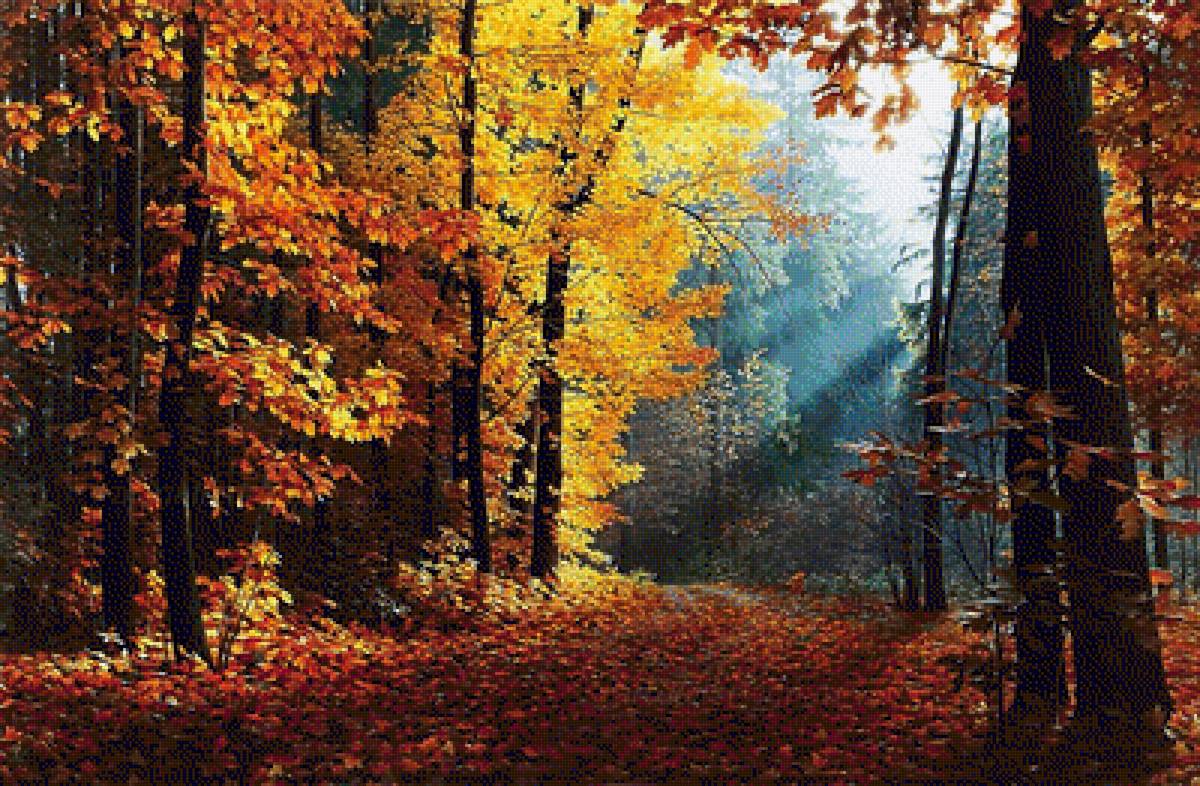Худ. Александр Игнатьев. Осенний лес. - пейзаж, лес, осень, живопись. - предпросмотр