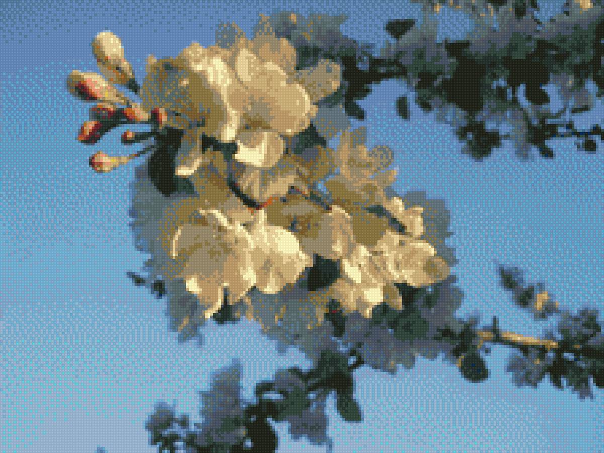 весна - цветы, весна - предпросмотр