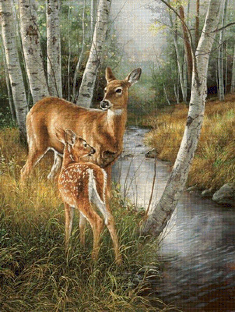 1 - предпросмотр