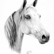 Схема вышивки «№1290880»