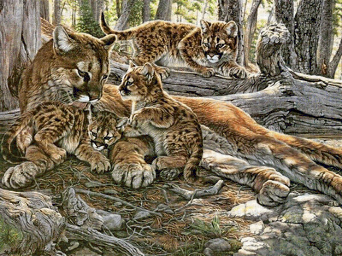 1 - предпросмотр