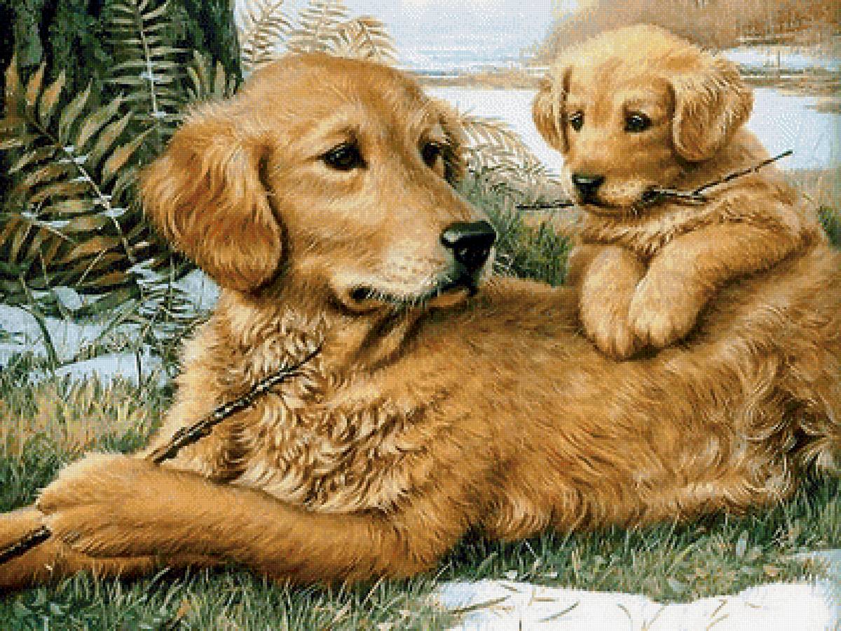 домашние любимцы - предпросмотр