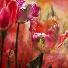 Схема вышивки «тюльпаны»