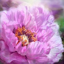 Схема вышивки «пион»