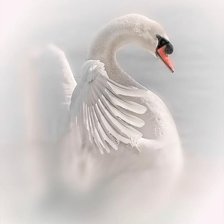 Схема вышивки «№1292169»