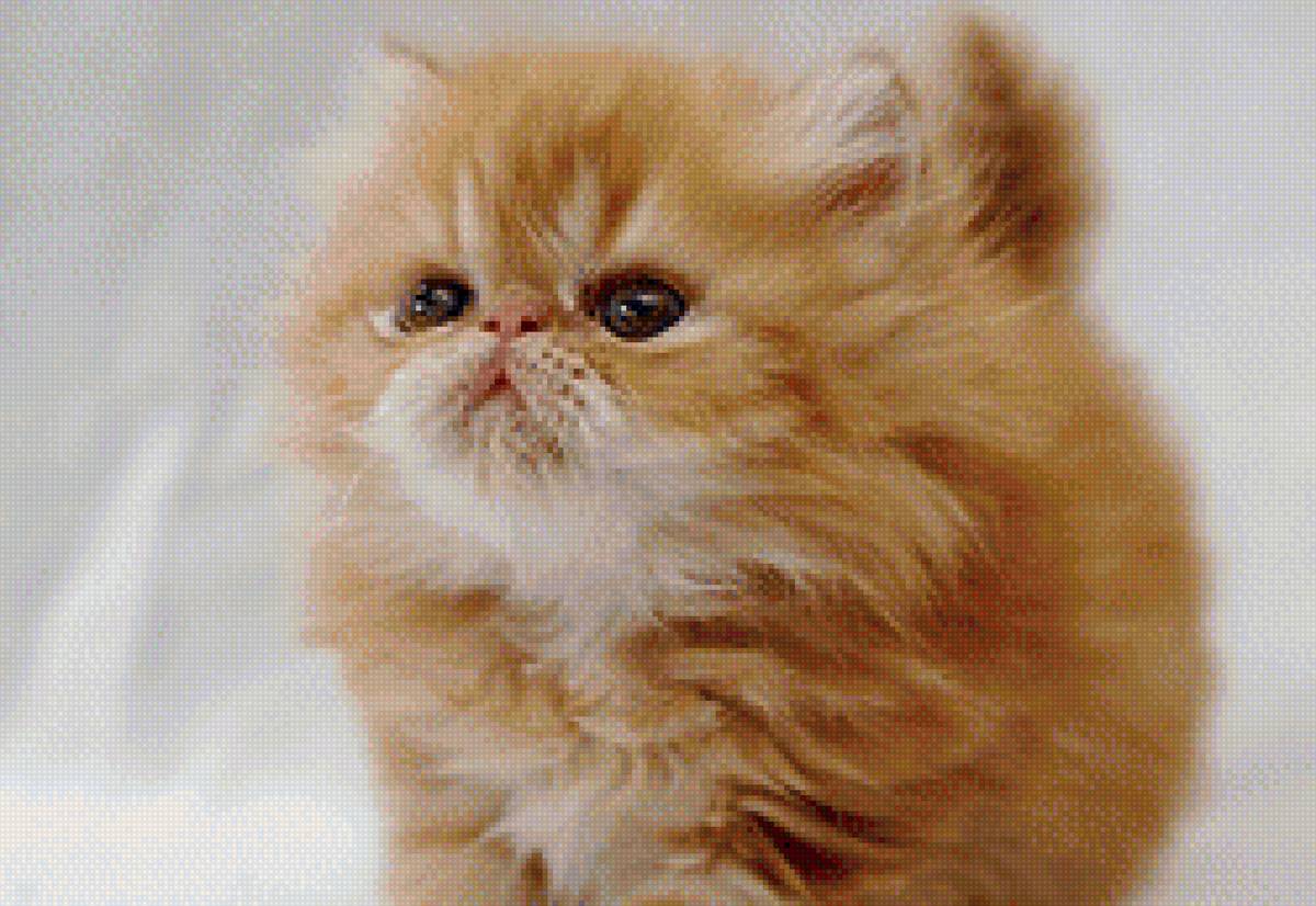 Рыжее счастье - коты - предпросмотр