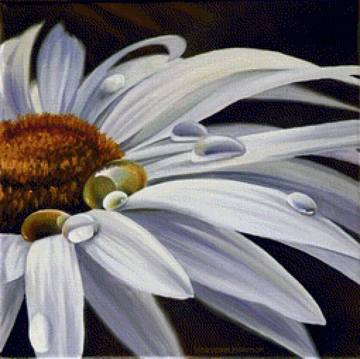 №1292465 - предпросмотр