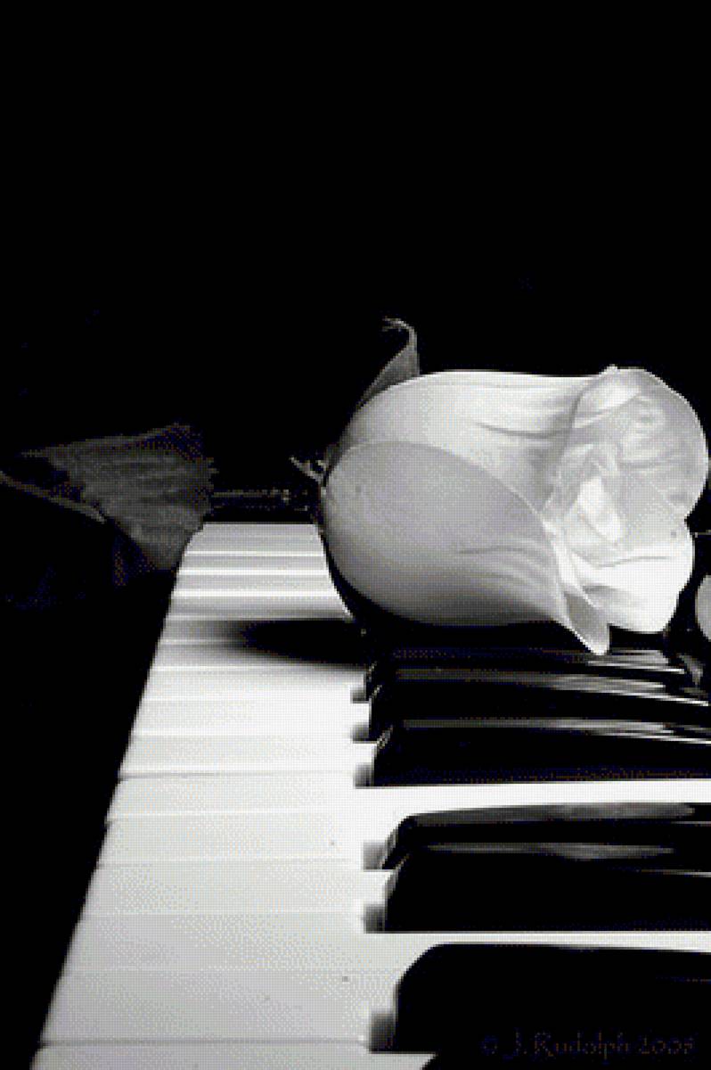 №1292528 - предпросмотр