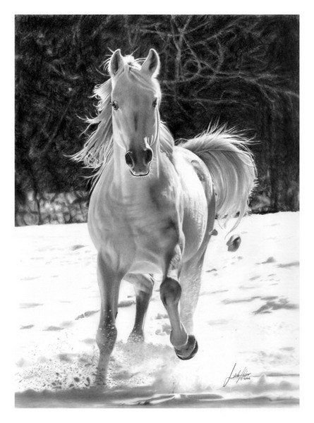 рисунок карандашом - лошадь снег - оригинал