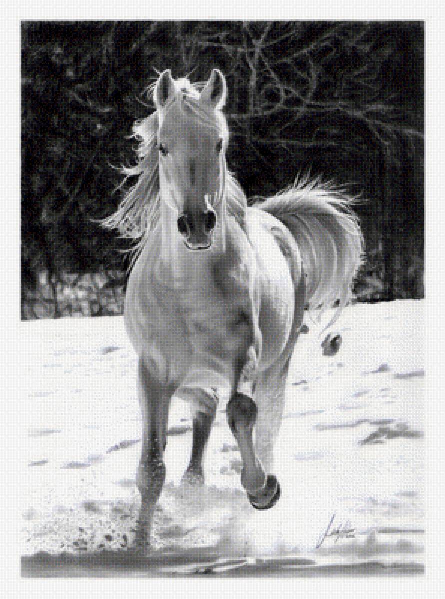 рисунок карандашом - лошадь снег - предпросмотр